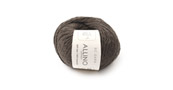 Allino